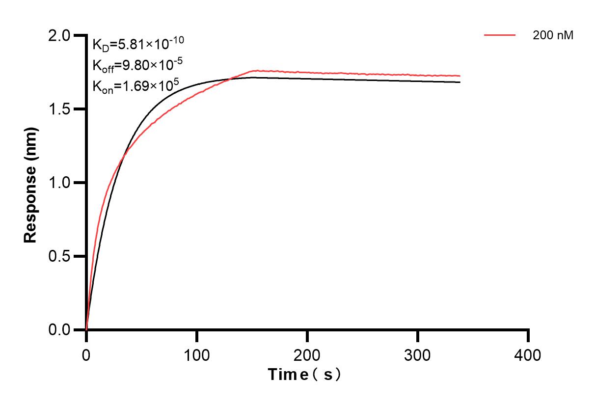 Affinity and Kinetic Characterization of 83898-2-PBS