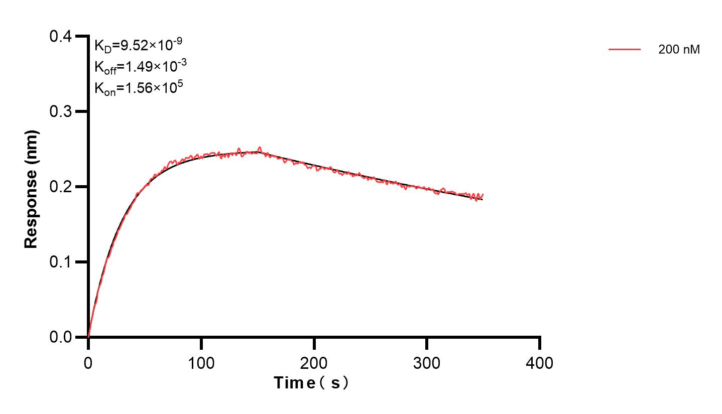 Affinity and Kinetic Characterization of 83903-1-PBS