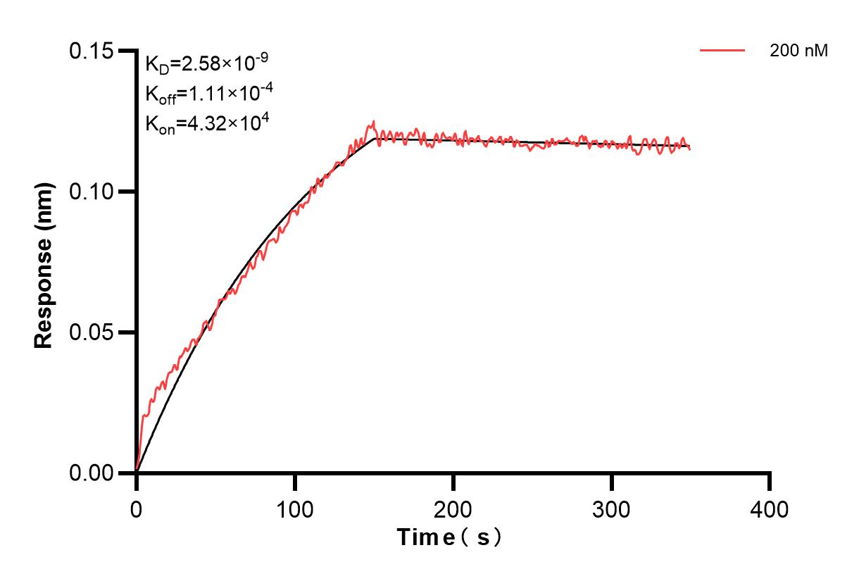 Affinity and Kinetic Characterization of 83904-2-PBS