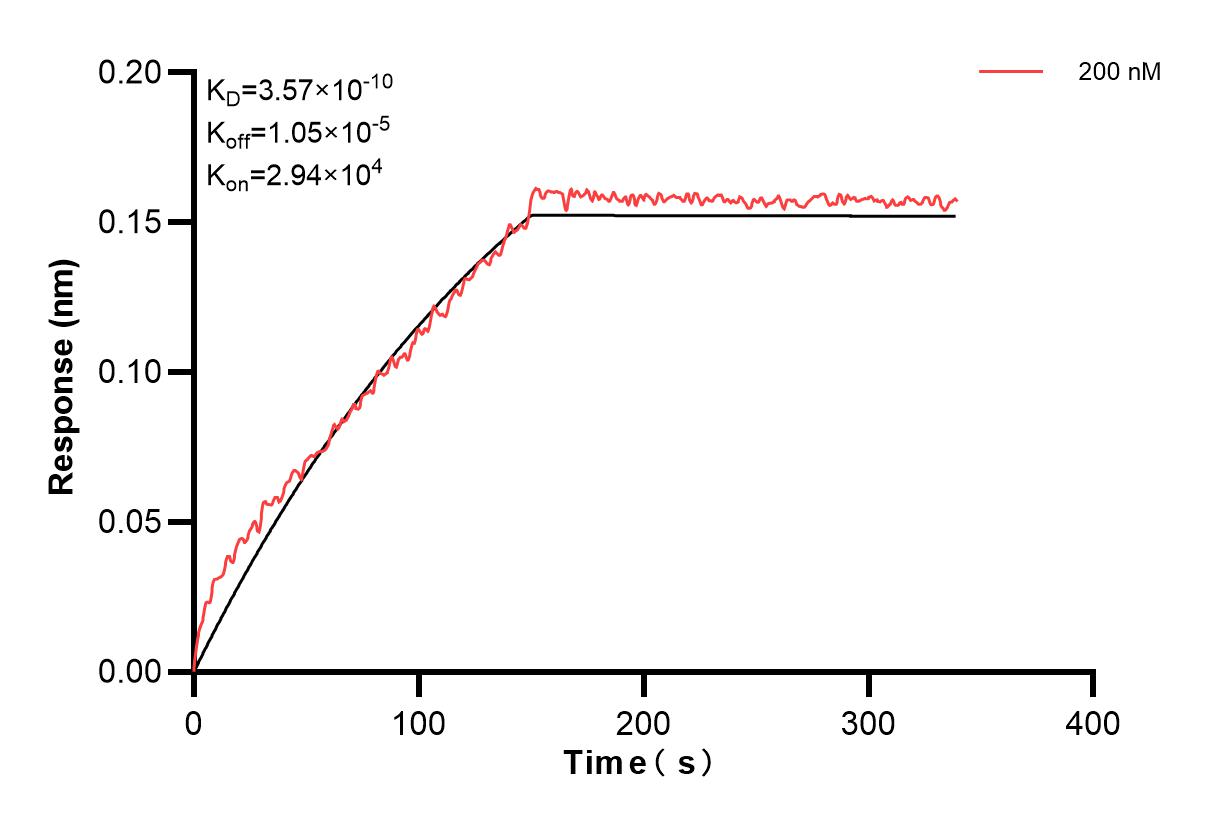 Affinity and Kinetic Characterization of 83904-3-PBS