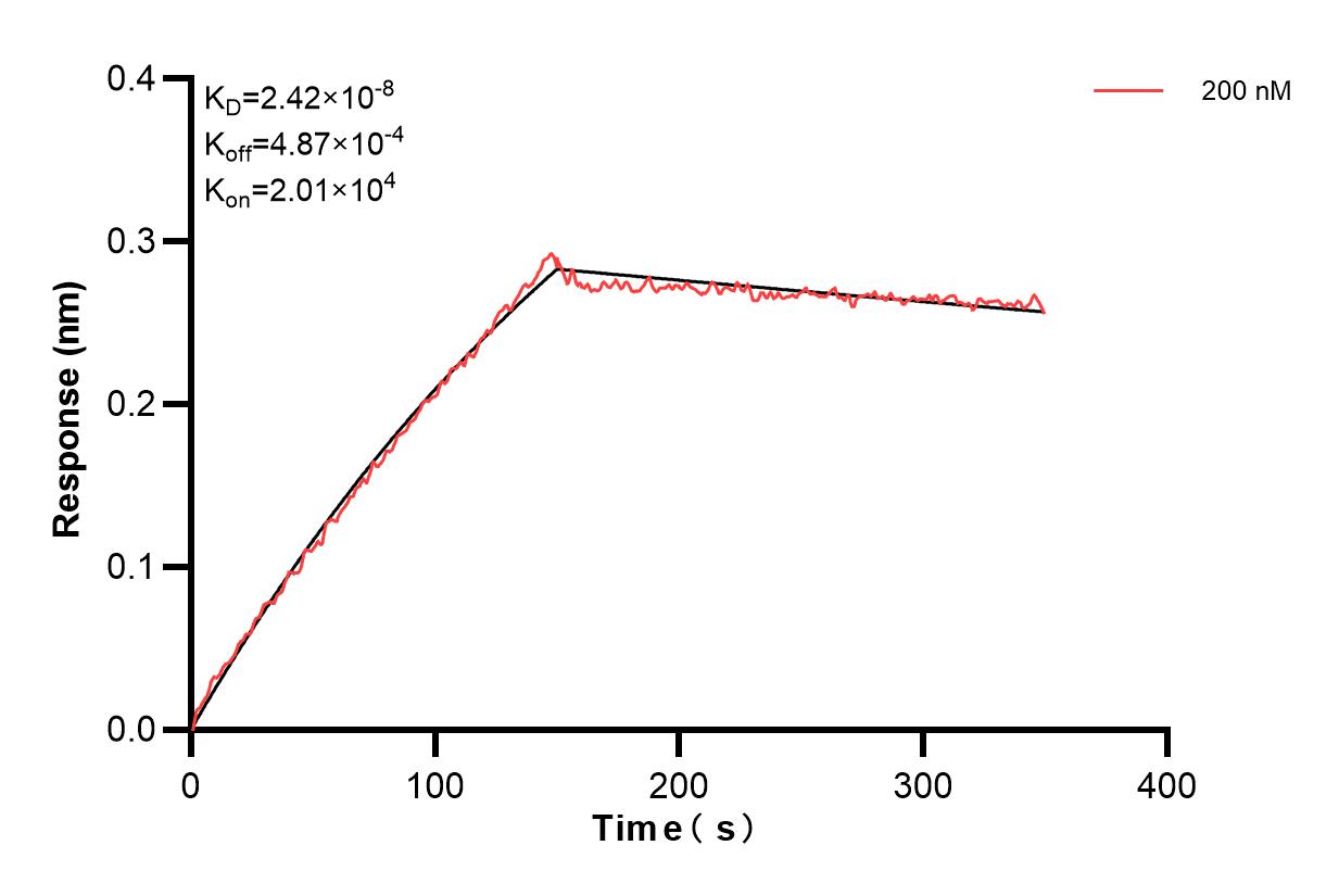 Affinity and Kinetic Characterization of 83904-4-PBS