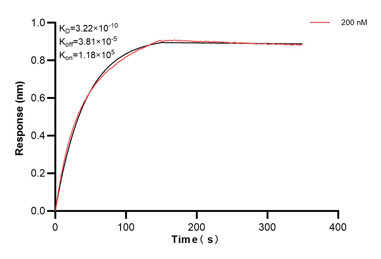 Affinity and Kinetic Characterization of 83910-3-PBS