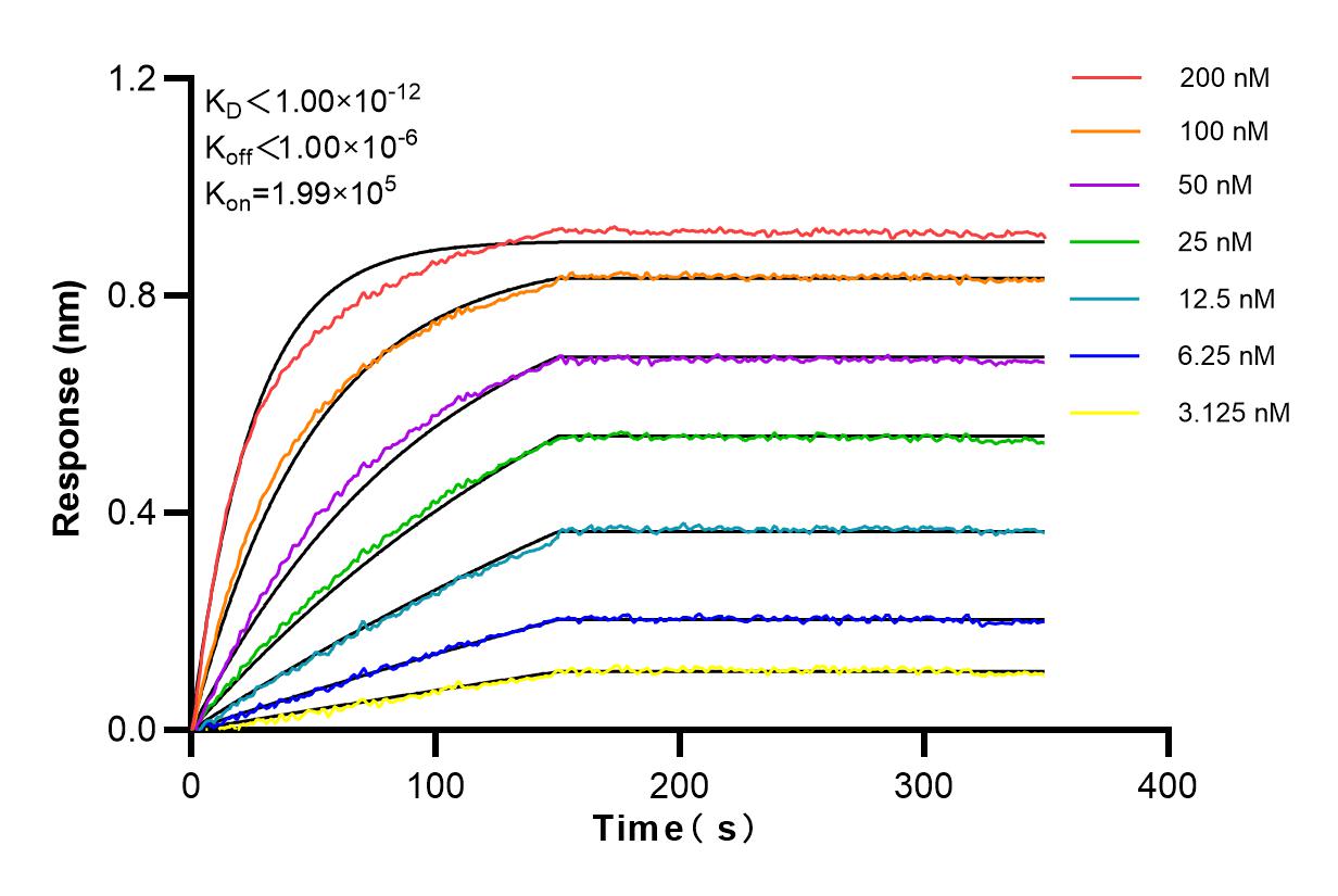 Affinity and Kinetic Characterization of 83912-5-RR