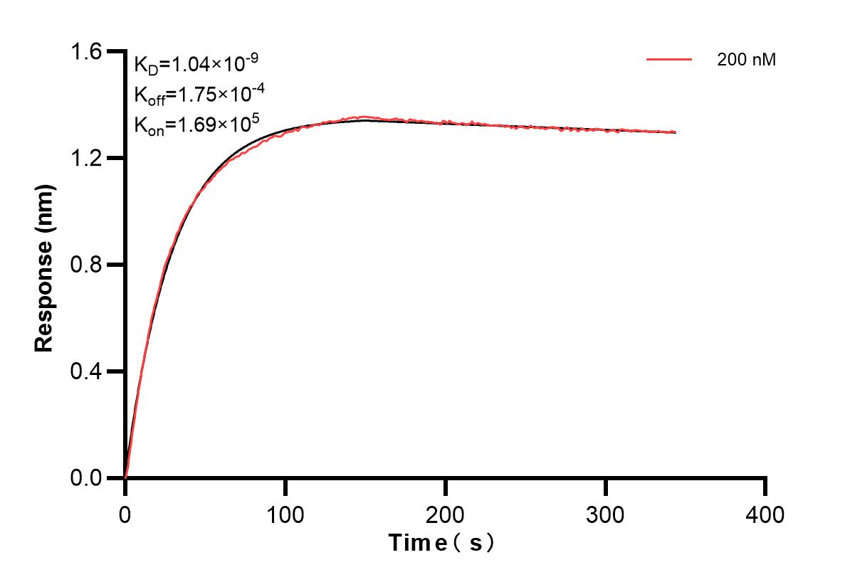 Affinity and Kinetic Characterization of 83916-1-PBS