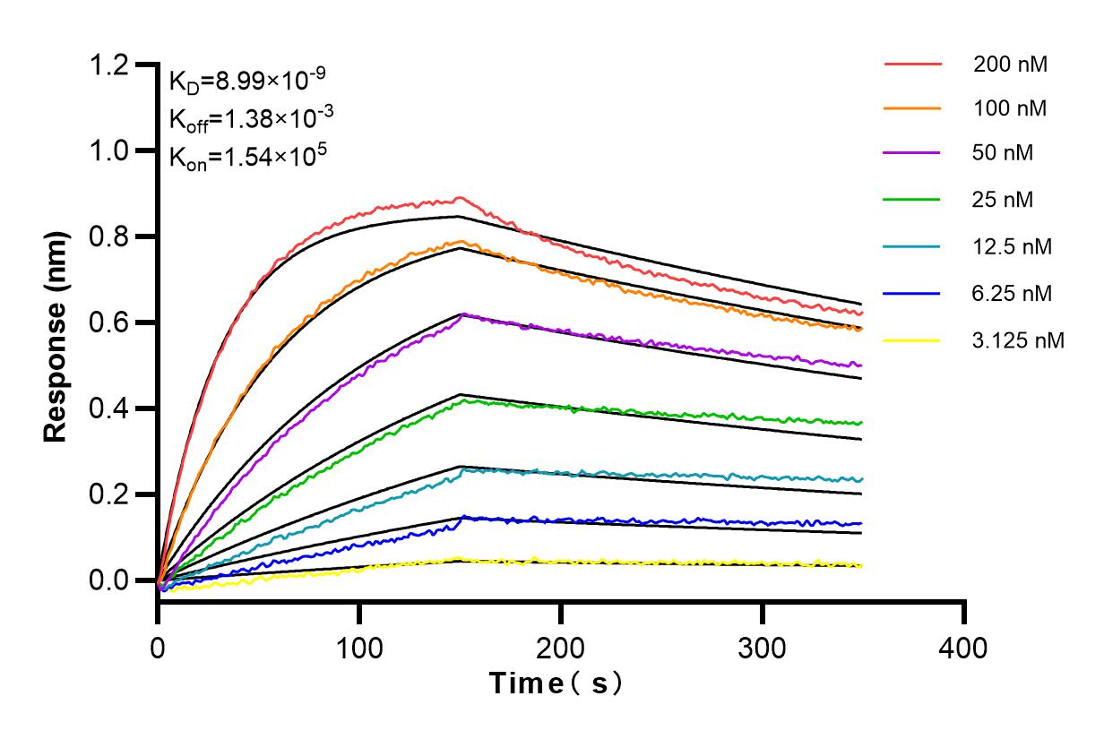 Affinity and Kinetic Characterization of 83917-2-RR