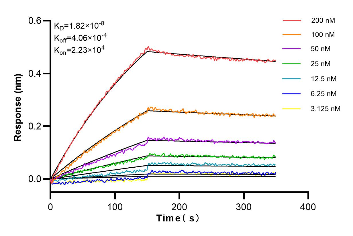 Affinity and Kinetic Characterization of 83929-2-RR