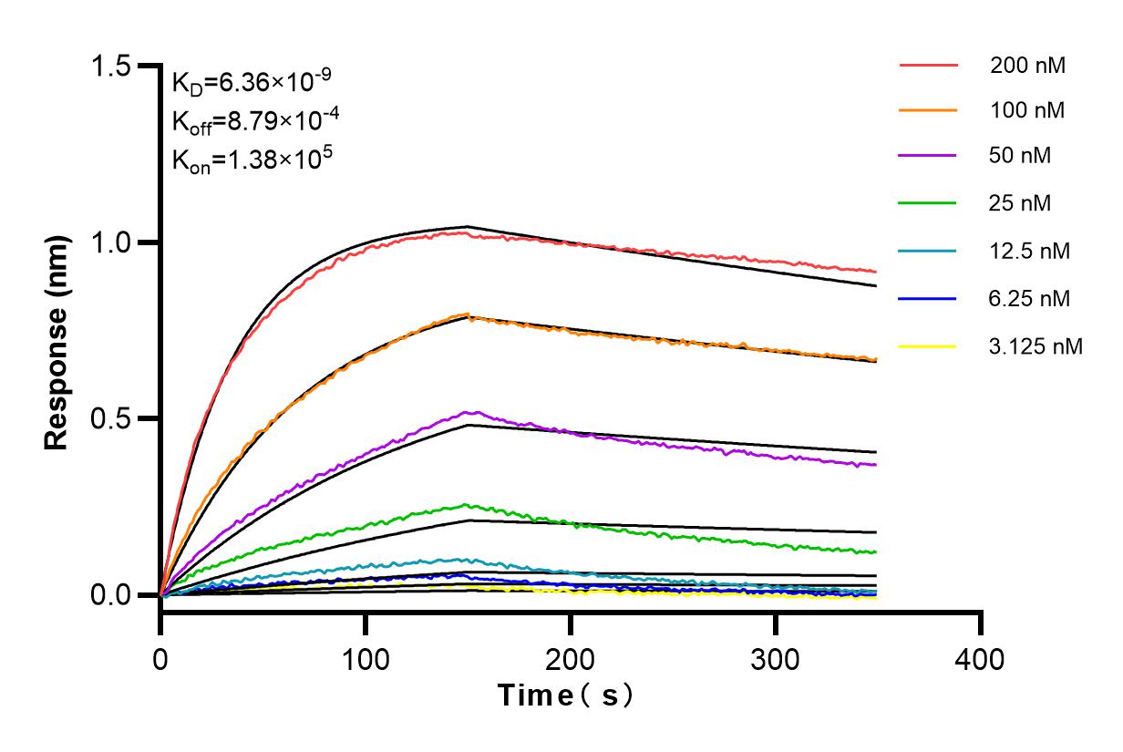 Affinity and Kinetic Characterization of 83940-6-RR