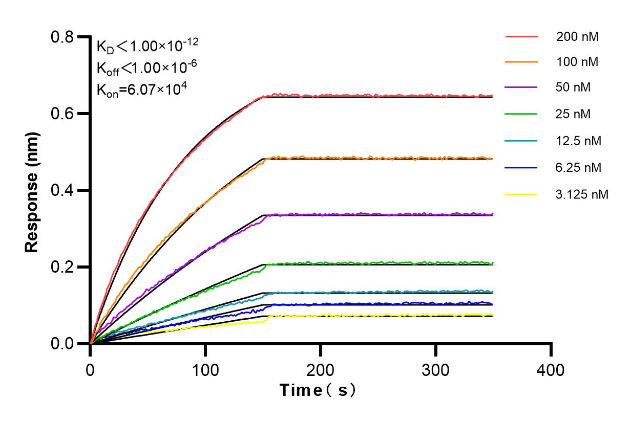 Affinity and Kinetic Characterization of 83945-5-RR