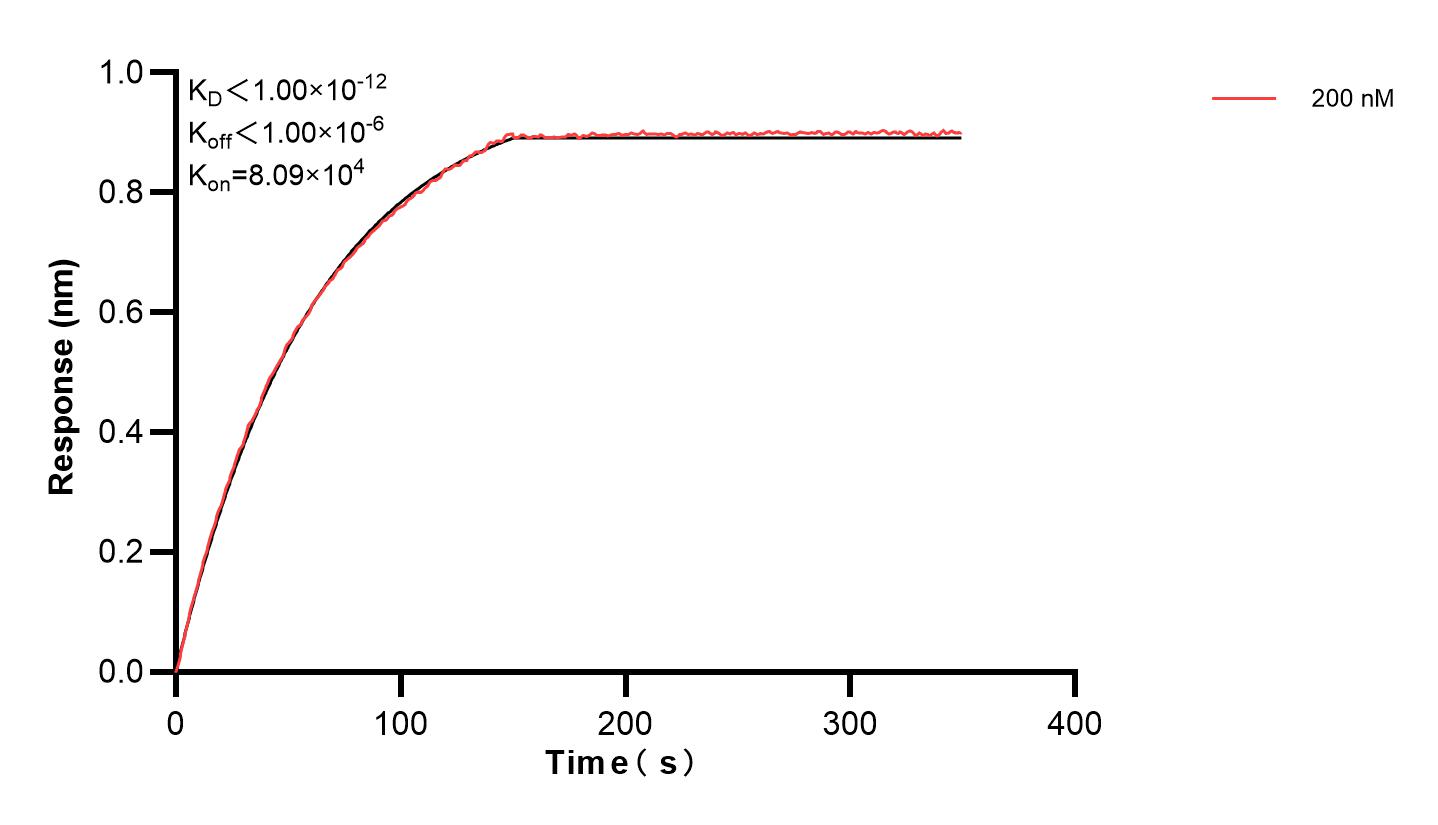 Affinity and Kinetic Characterization of 83946-1-PBS