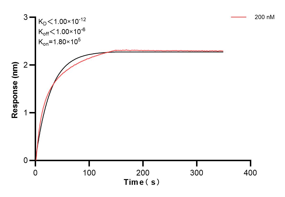 Affinity and Kinetic Characterization of 83948-1-PBS