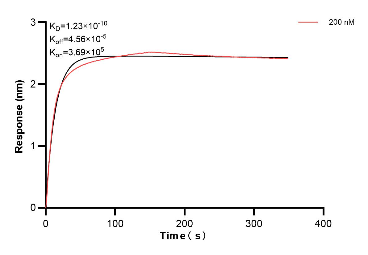 Affinity and Kinetic Characterization of 83948-2-PBS