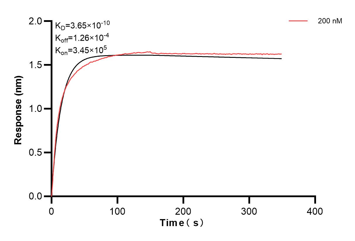 Affinity and Kinetic Characterization of 83950-2-PBS