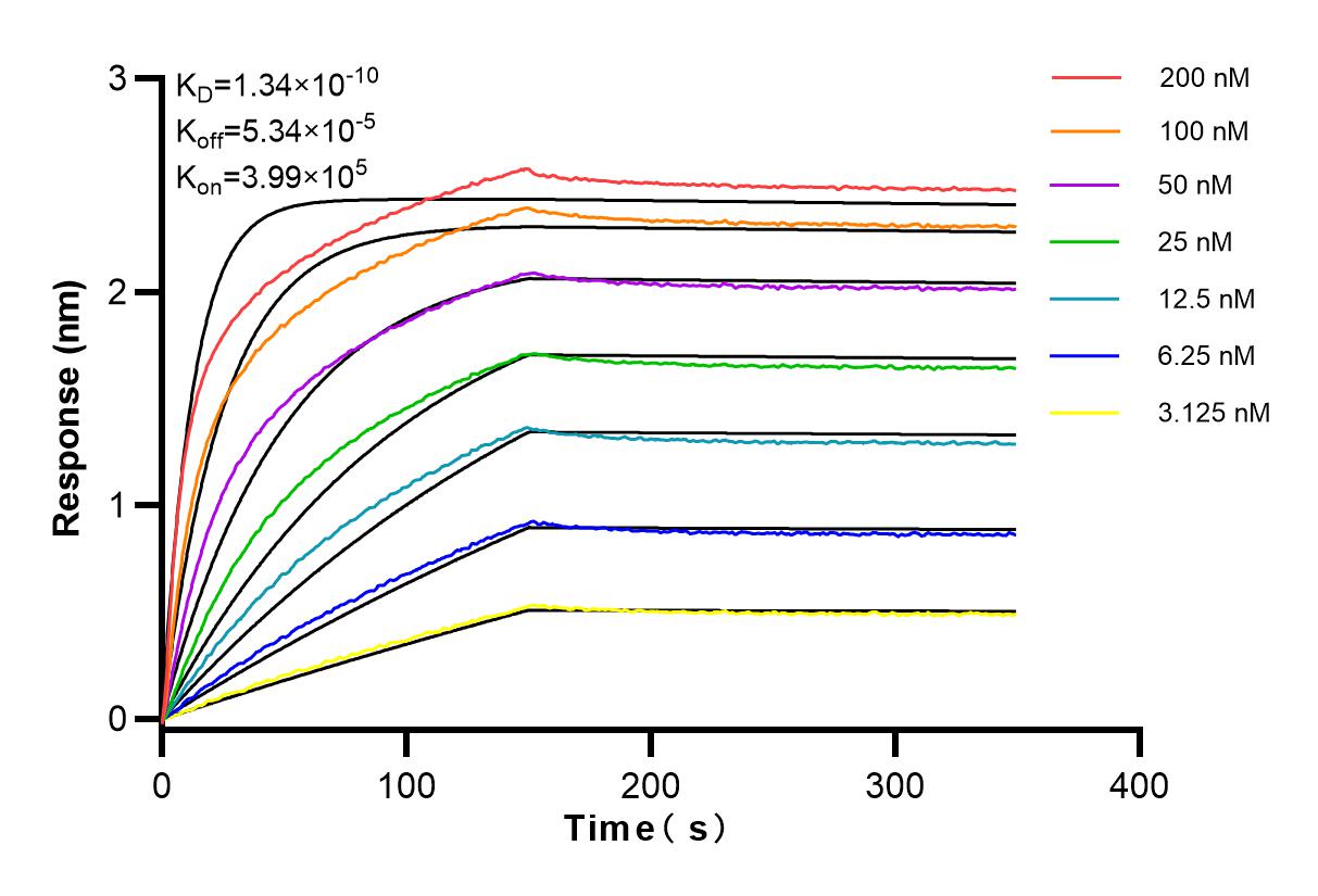 Affinity and Kinetic Characterization of 83955-4-RR