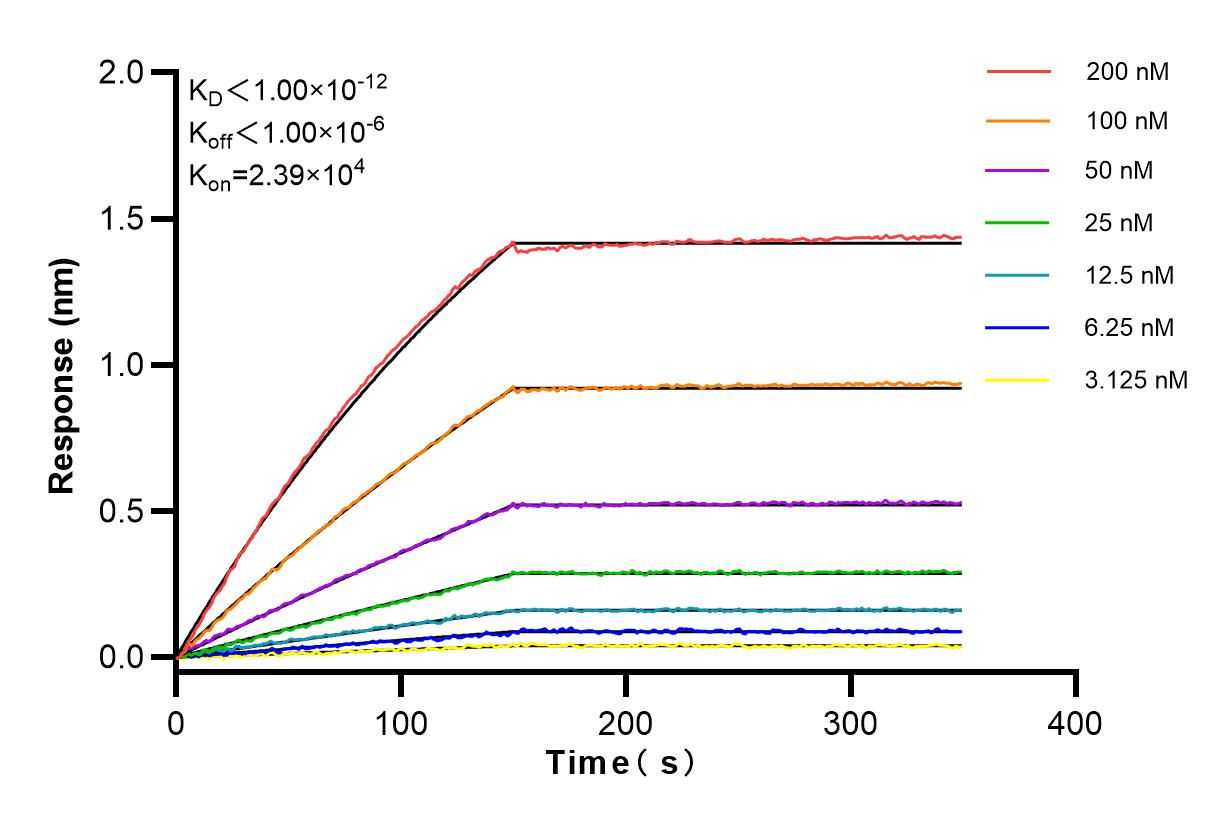 Affinity and Kinetic Characterization of 83961-4-RR