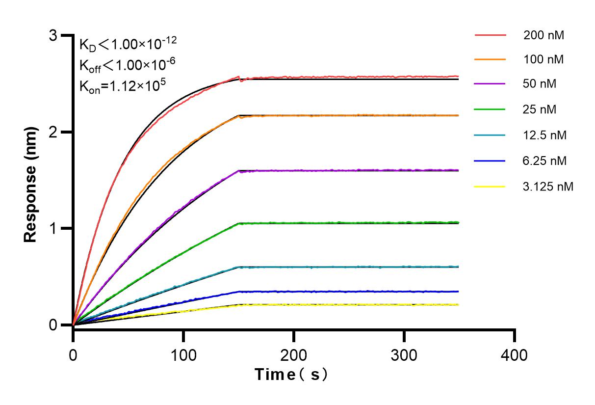 Affinity and Kinetic Characterization of 83974-4-RR