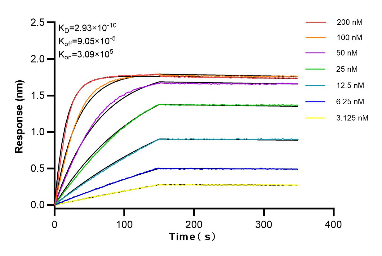 Affinity and Kinetic Characterization of 83980-3-RR