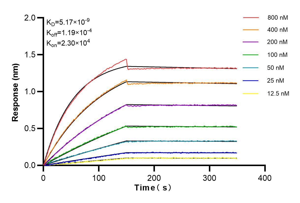 Affinity and Kinetic Characterization of 83984-6-RR