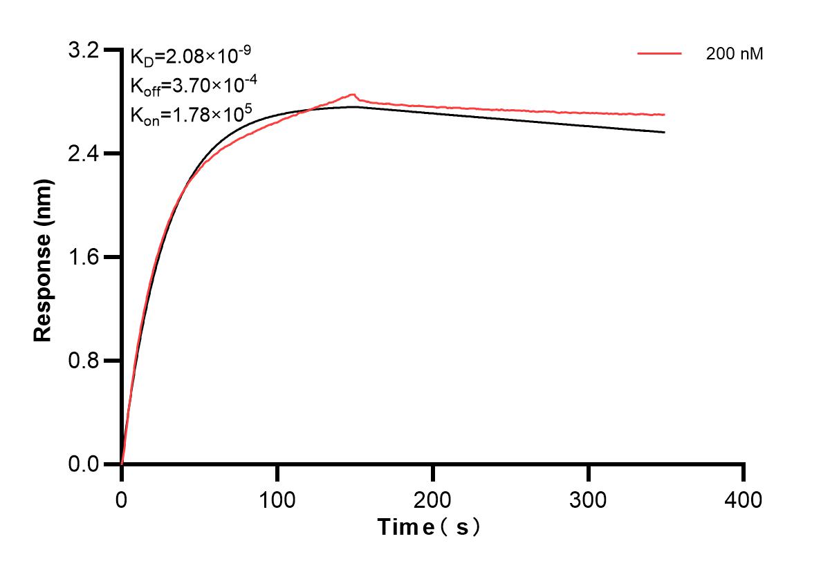 Affinity and Kinetic Characterization of 83988-1-PBS