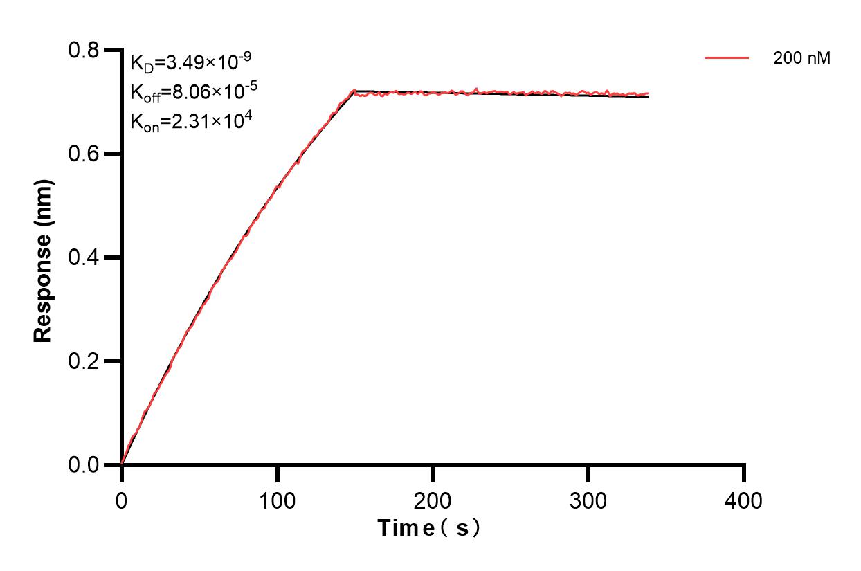 Affinity and Kinetic Characterization of 83988-2-PBS