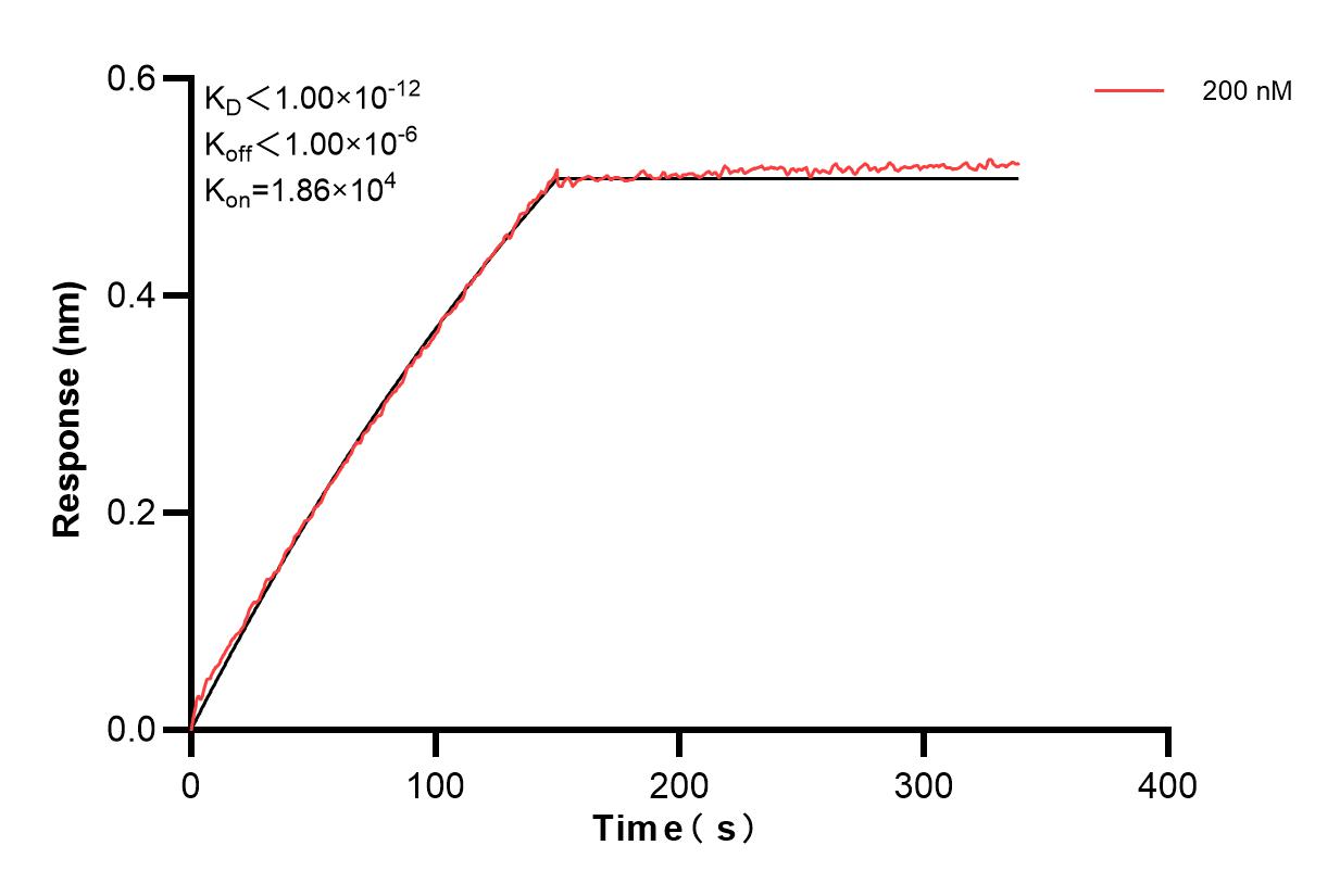 Affinity and Kinetic Characterization of 83990-1-PBS