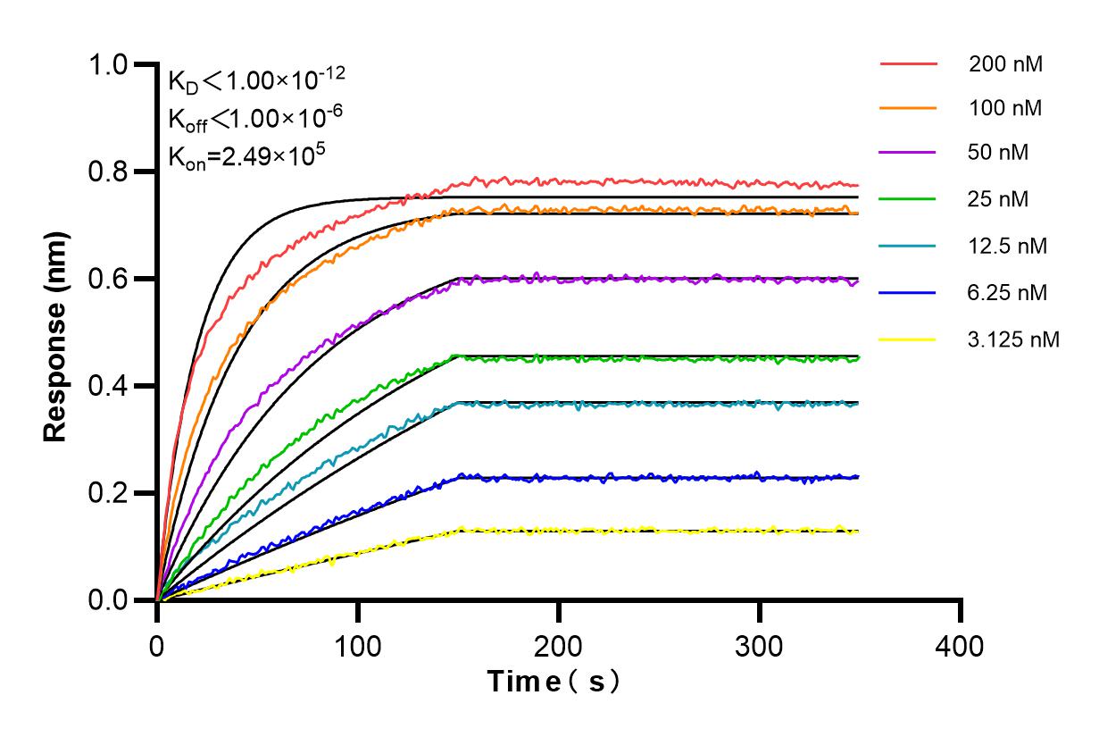 Affinity and Kinetic Characterization of 84009-4-RR