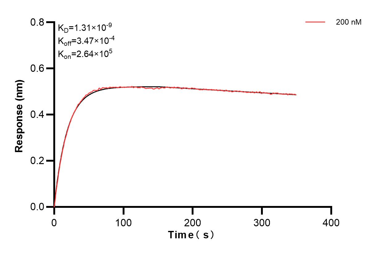 Affinity and Kinetic Characterization of 84013-3-PBS