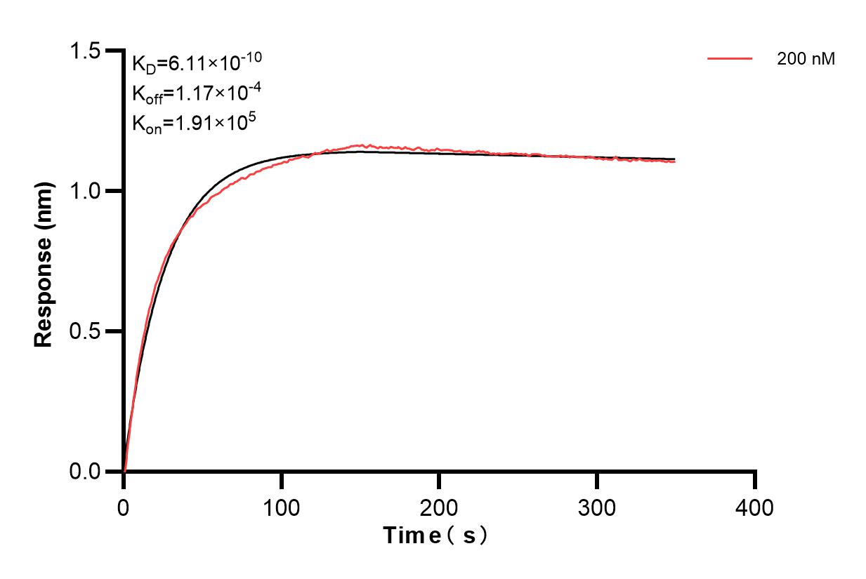 Affinity and Kinetic Characterization of 84013-4-PBS