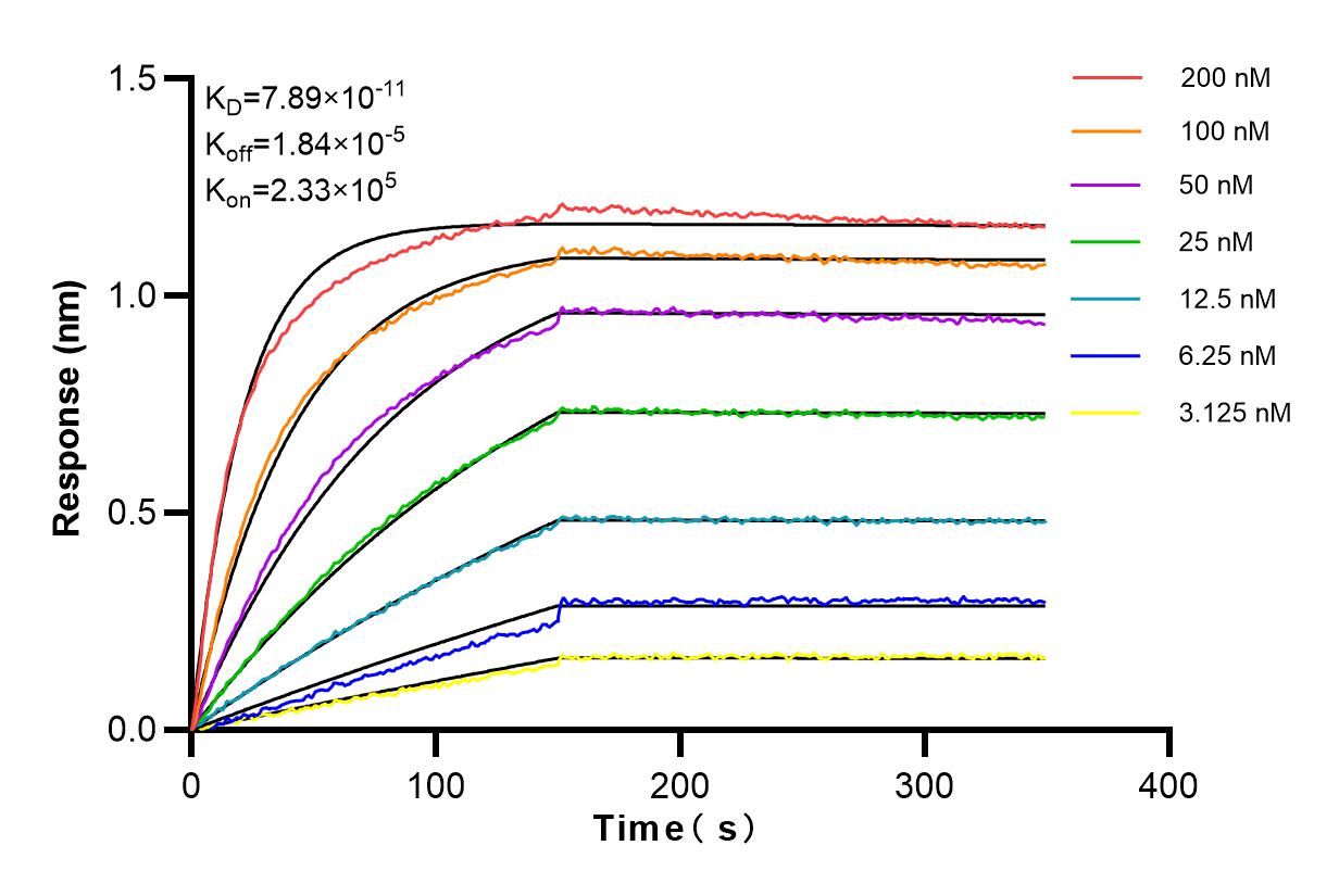 Affinity and Kinetic Characterization of 84013-4-RR