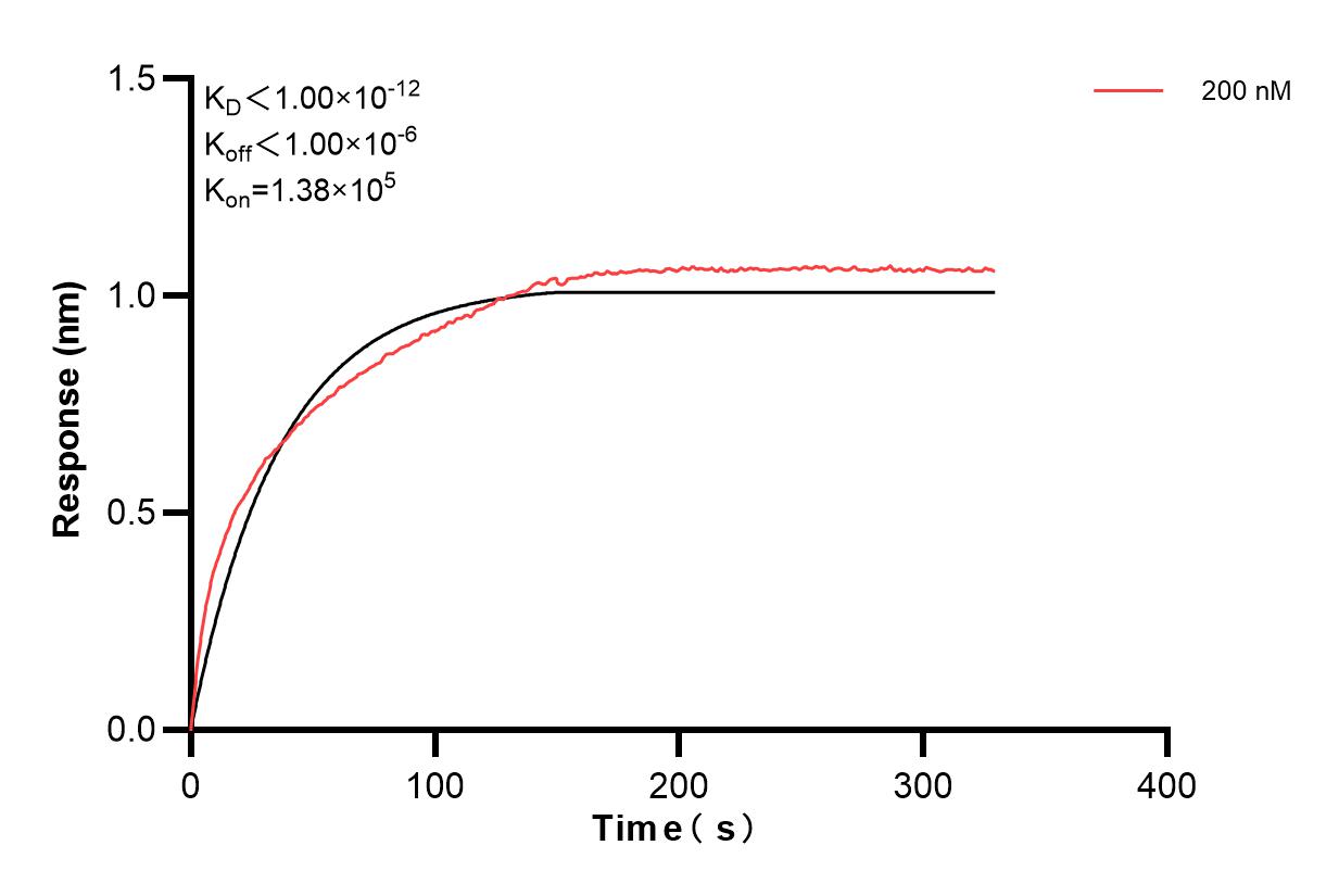 Affinity and Kinetic Characterization of 84014-3-PBS