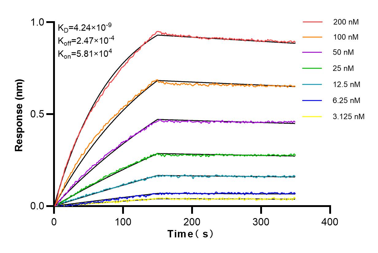 Affinity and Kinetic Characterization of 84014-6-RR