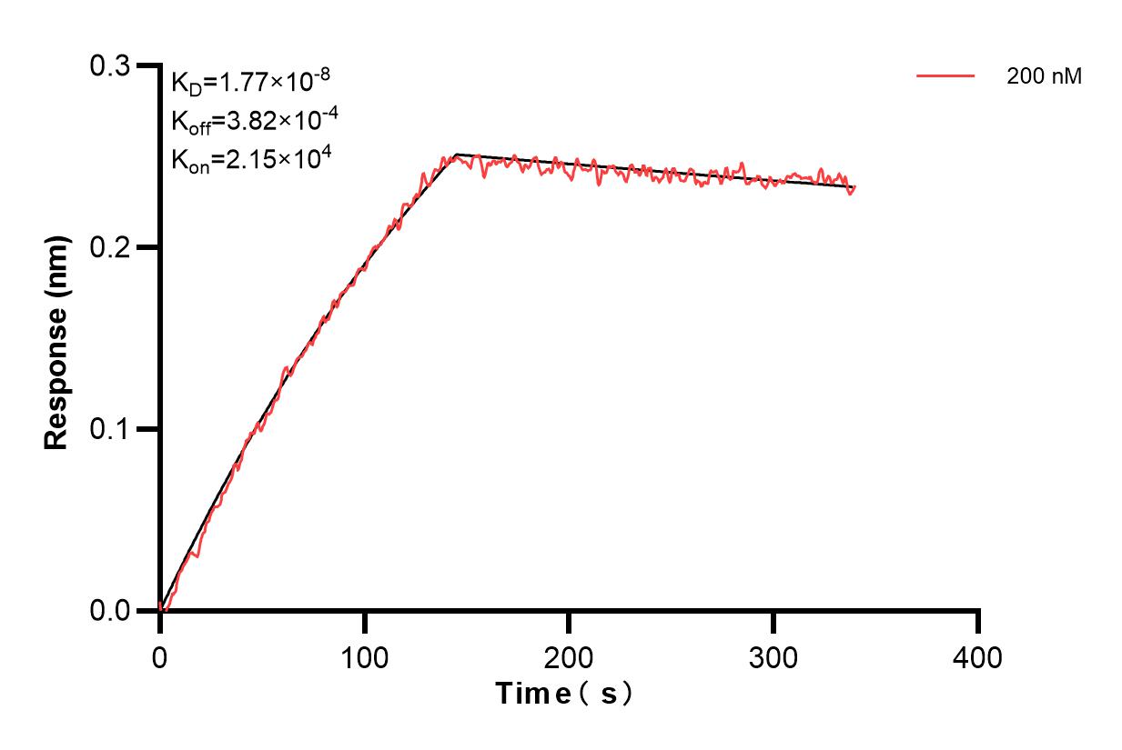 Affinity and Kinetic Characterization of 84031-3-PBS