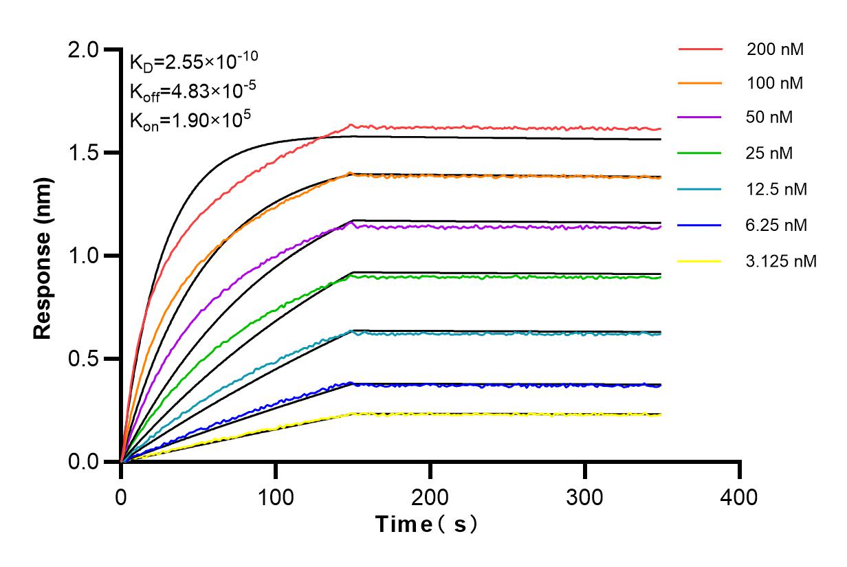 Affinity and Kinetic Characterization of 84034-4-RR