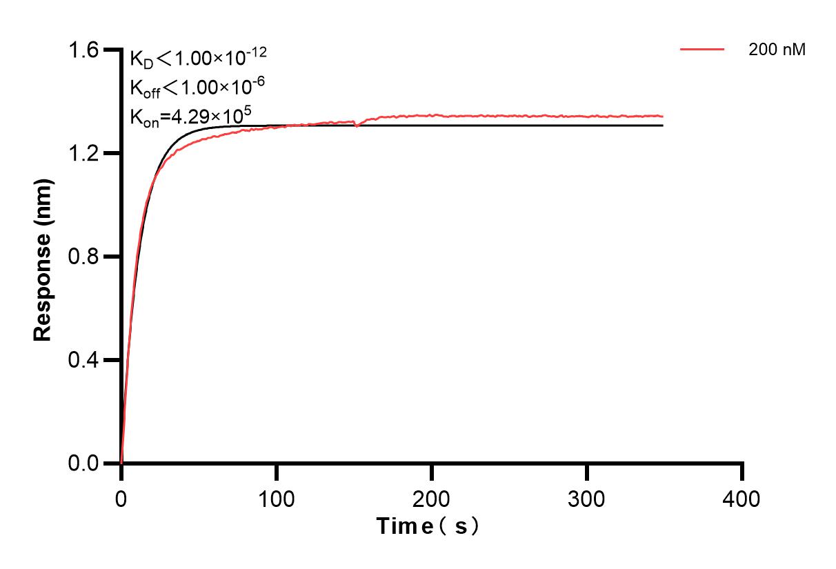 Affinity and Kinetic Characterization of 84039-3-PBS