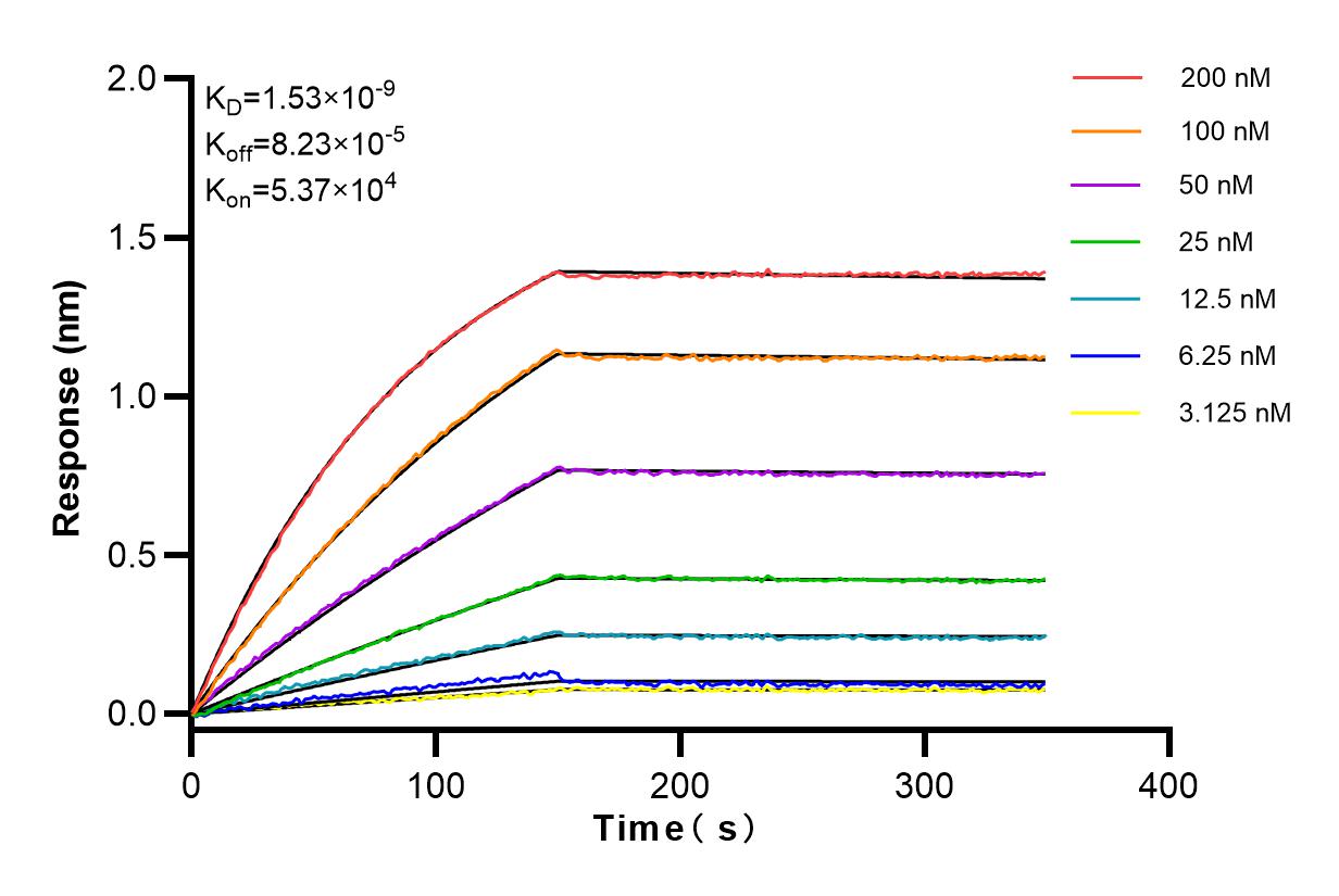 Affinity and Kinetic Characterization of 84044-1-RR