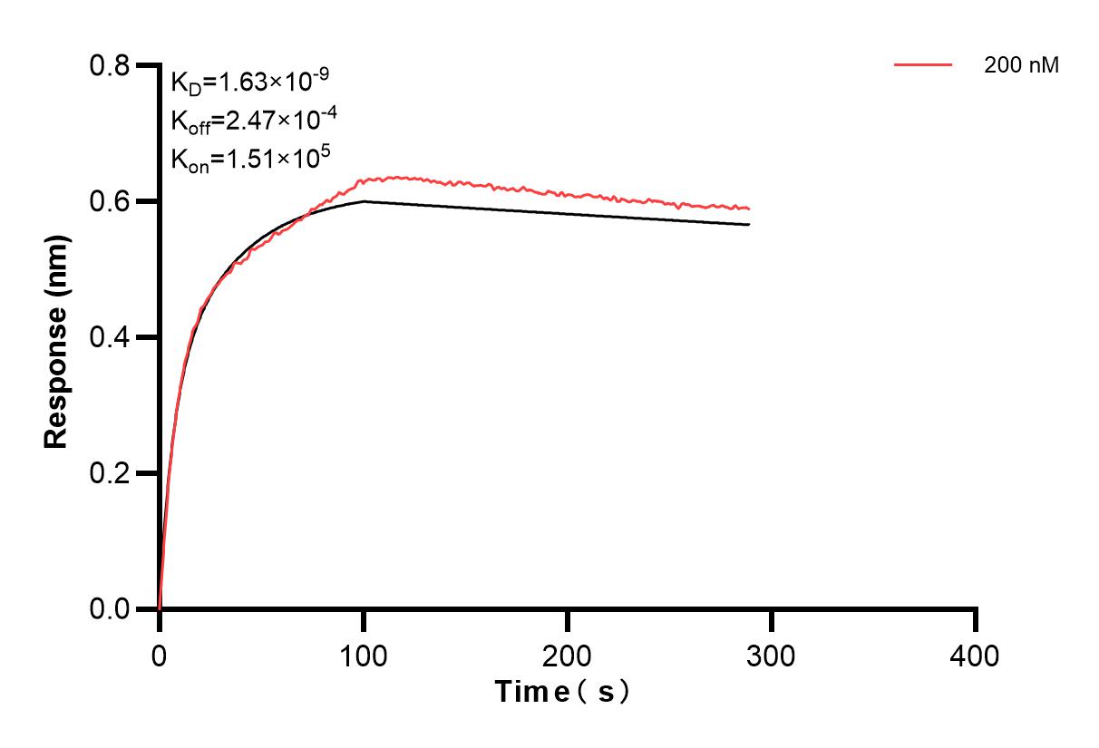 Affinity and Kinetic Characterization of 84053-1-PBS