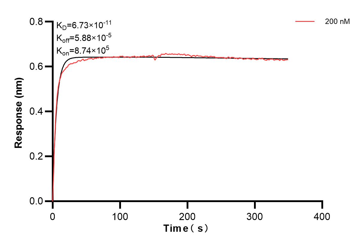 Affinity and Kinetic Characterization of 84053-4-PBS