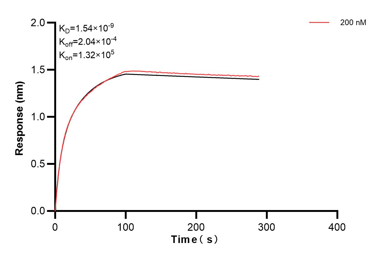 Affinity and Kinetic Characterization of 84053-5-PBS