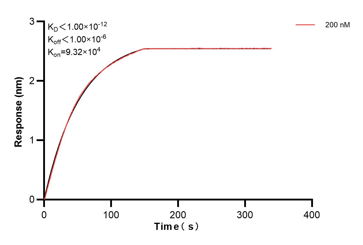 Affinity and Kinetic Characterization of 84054-3-PBS