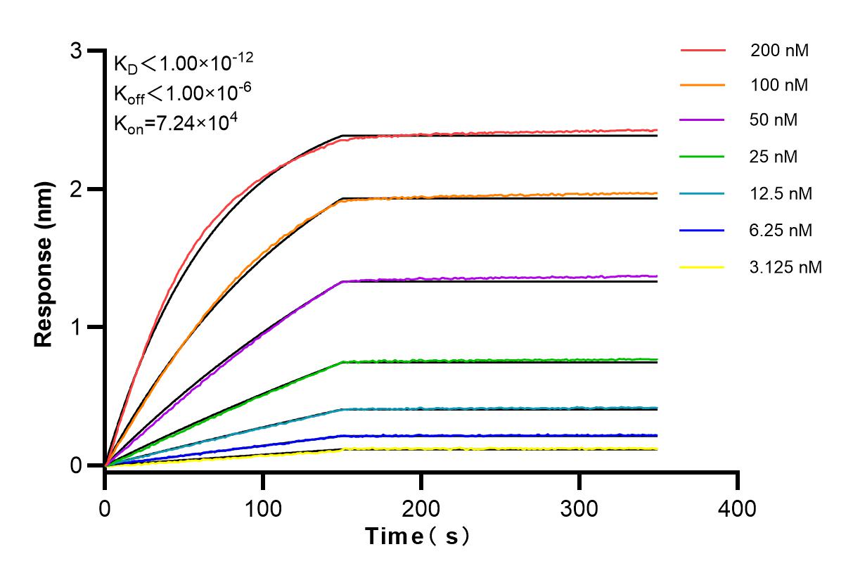 Affinity and Kinetic Characterization of 84054-5-RR