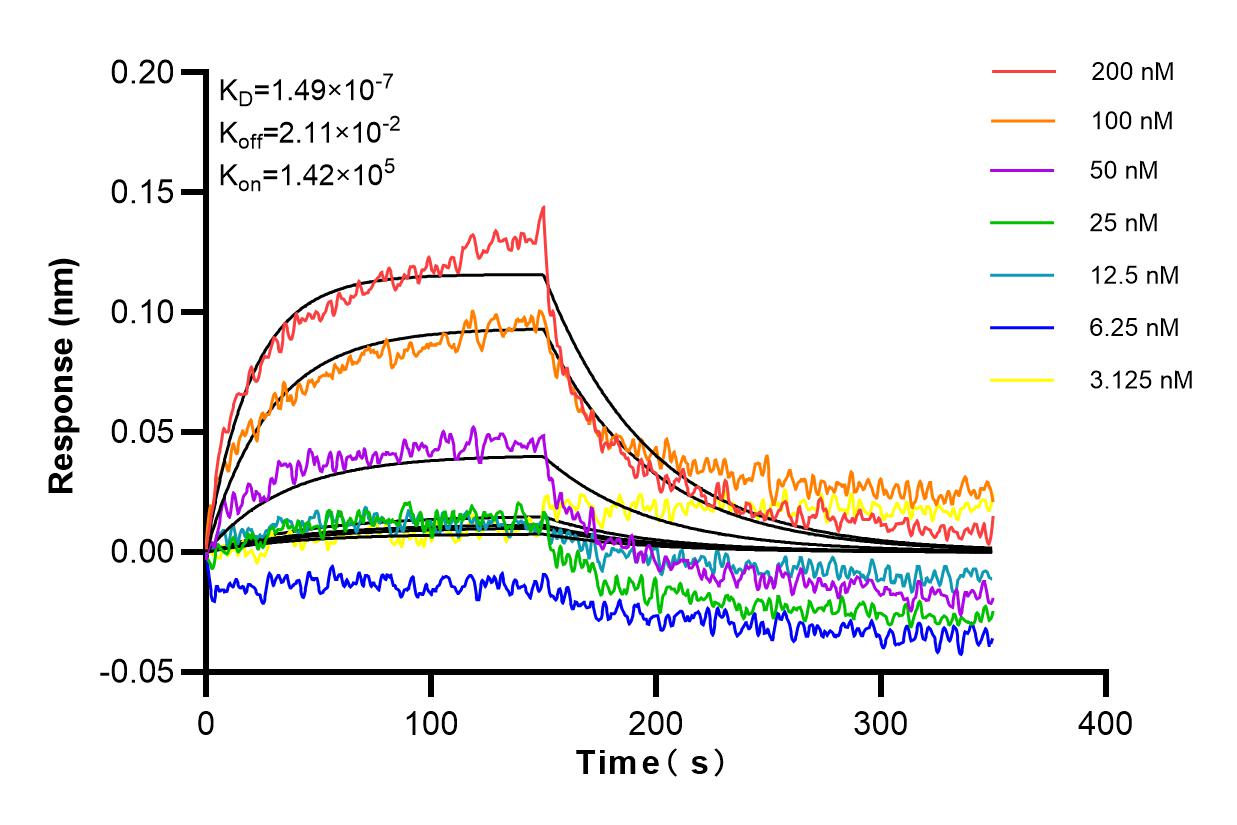 Affinity and Kinetic Characterization of 84059-5-RR