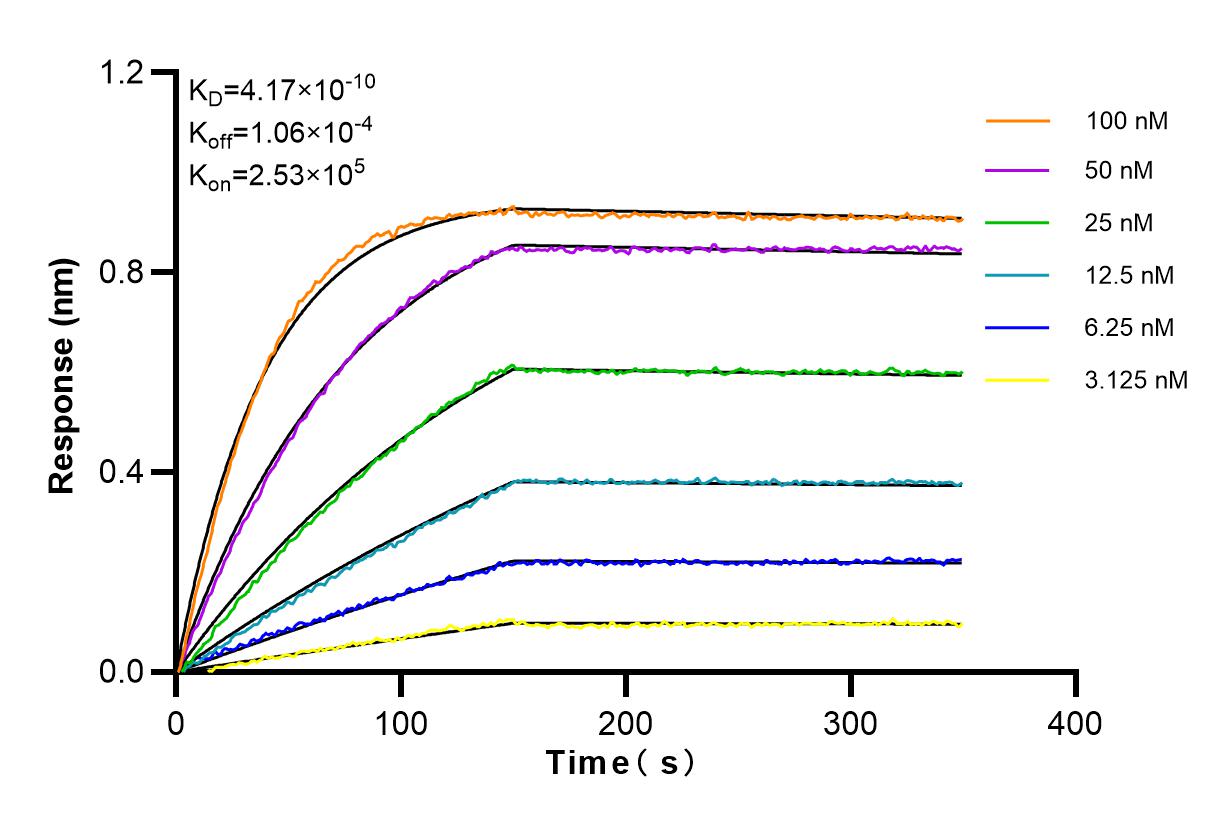 Affinity and Kinetic Characterization of 84059-6-RR