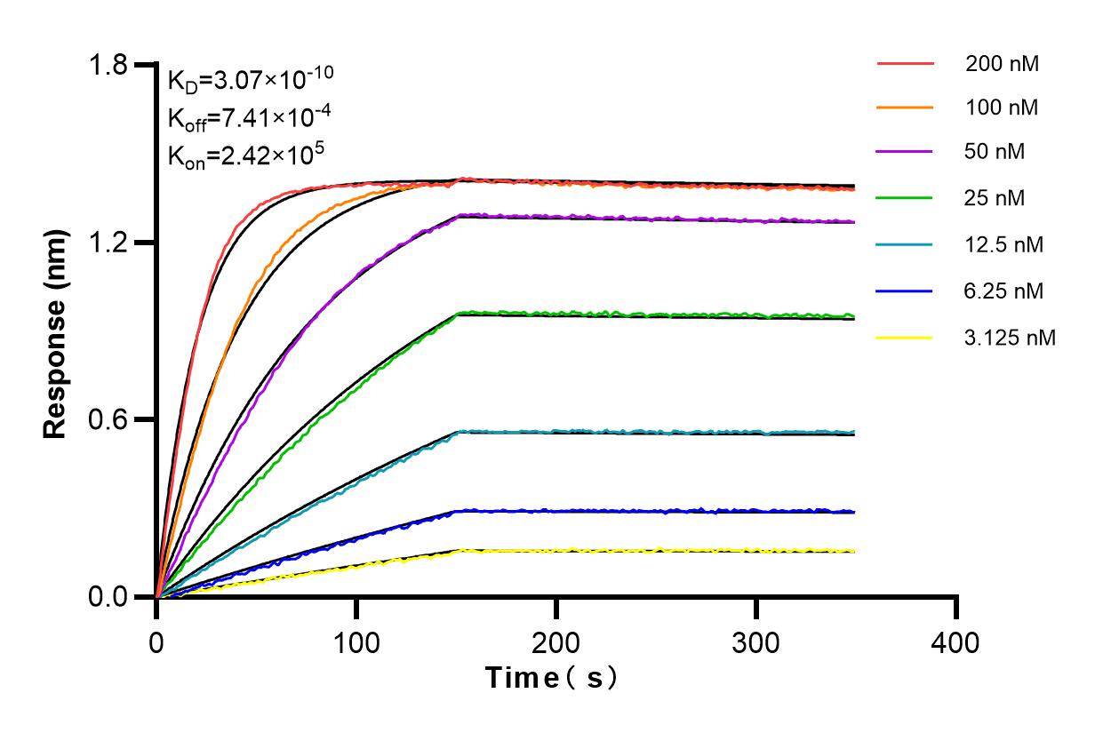 Affinity and Kinetic Characterization of 84059-7-RR