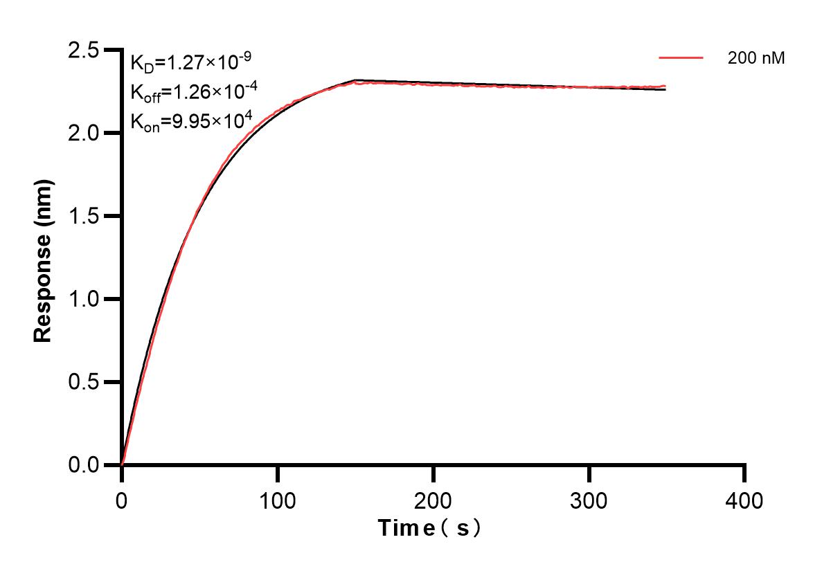 Affinity and Kinetic Characterization of 84061-3-PBS