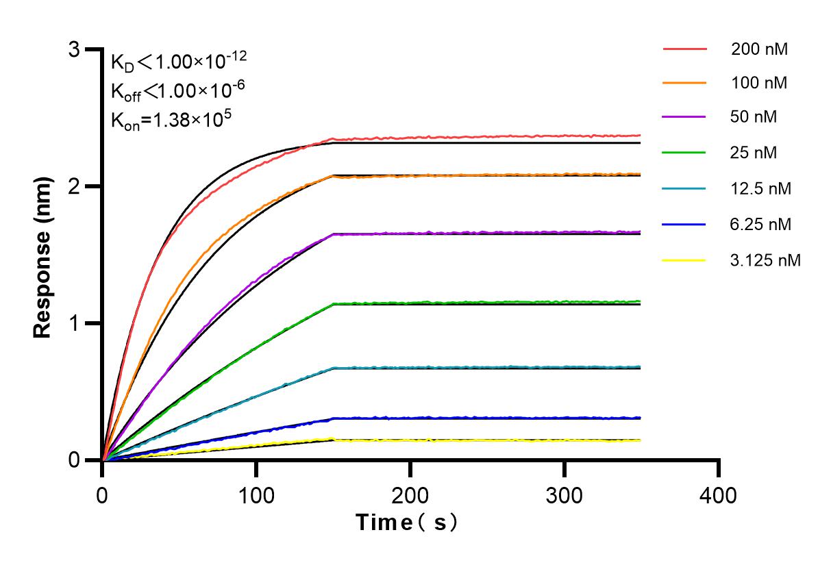 Affinity and Kinetic Characterization of 84063-3-RR