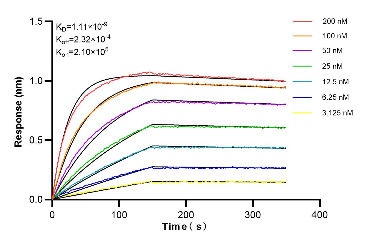 Affinity and Kinetic Characterization of 84070-6-RR