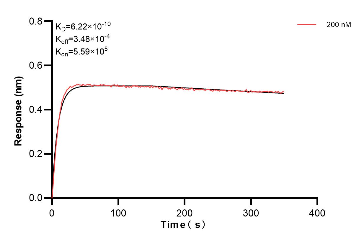 Affinity and Kinetic Characterization of 84073-4-PBS