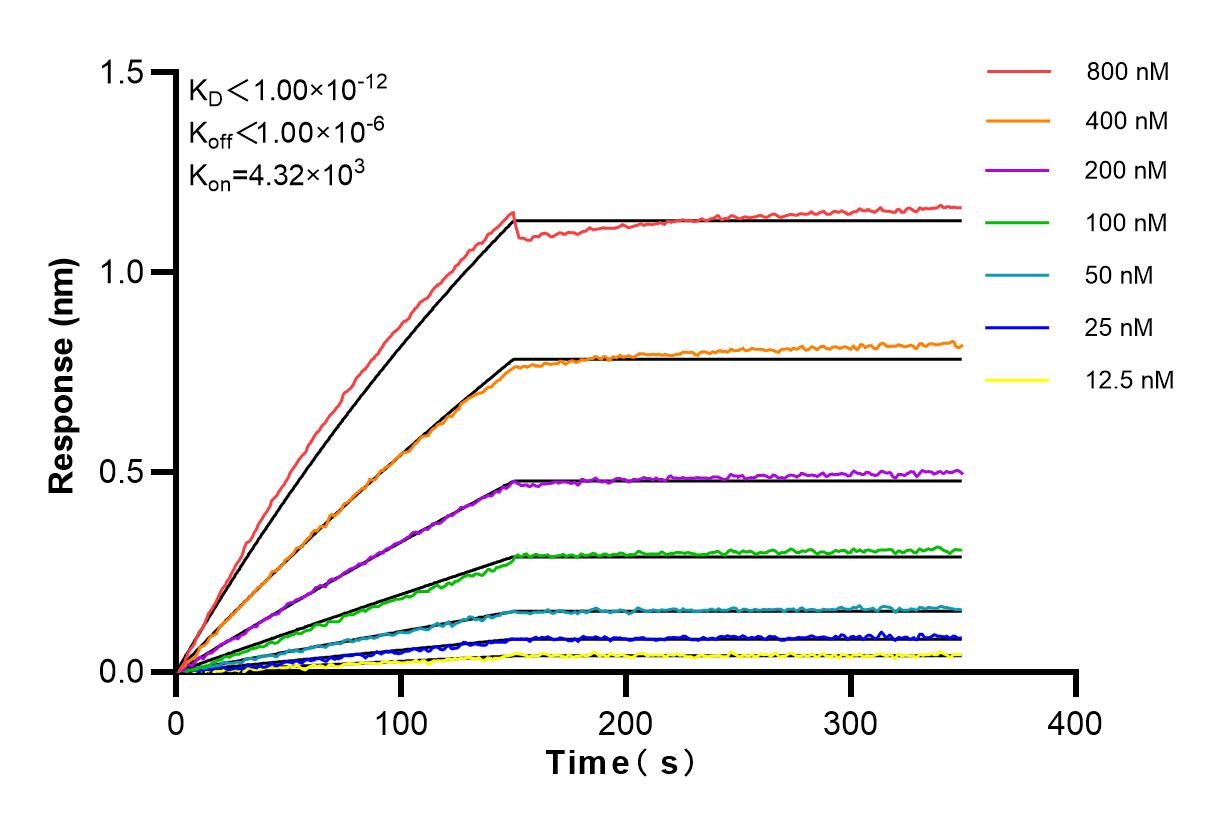 Affinity and Kinetic Characterization of 84077-6-RR