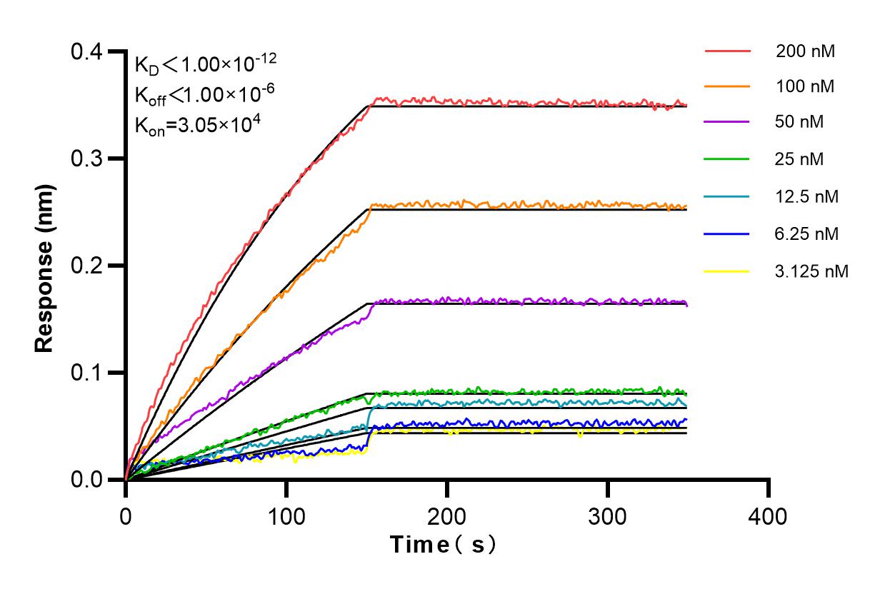 Affinity and Kinetic Characterization of 84086-1-RR