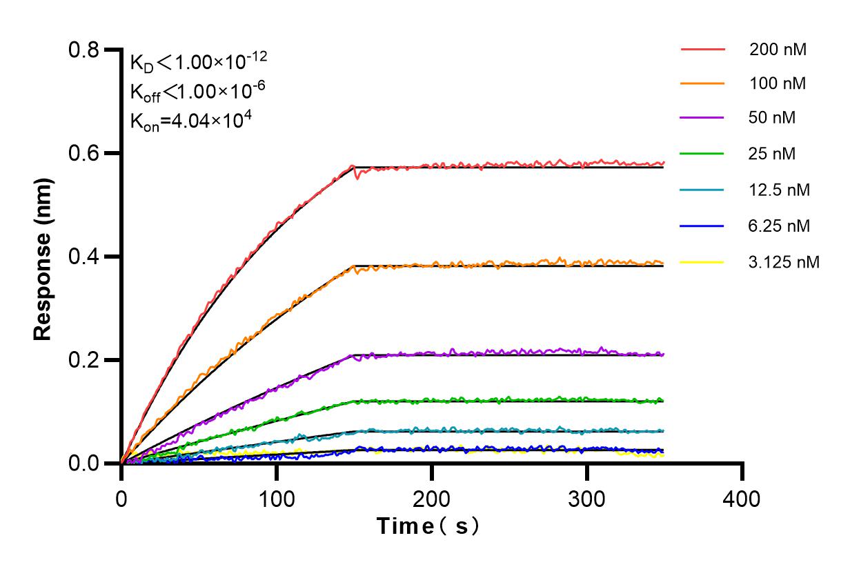 Affinity and Kinetic Characterization of 84097-6-RR