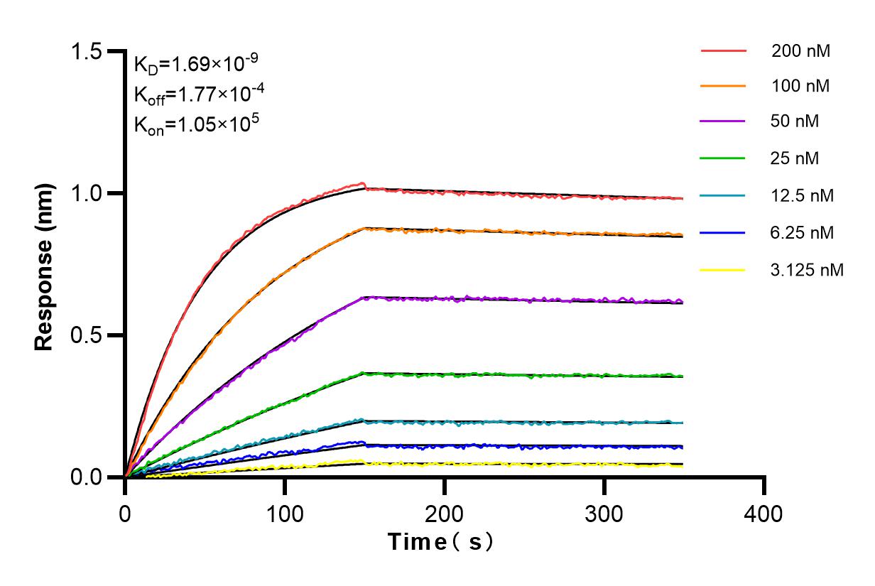 Affinity and Kinetic Characterization of 84106-3-RR